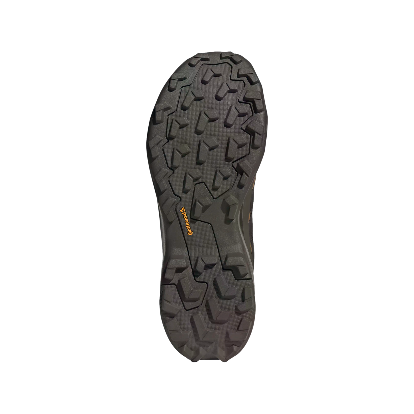 Adidas Terrex SkyChaser AX5 Hiking Shoes