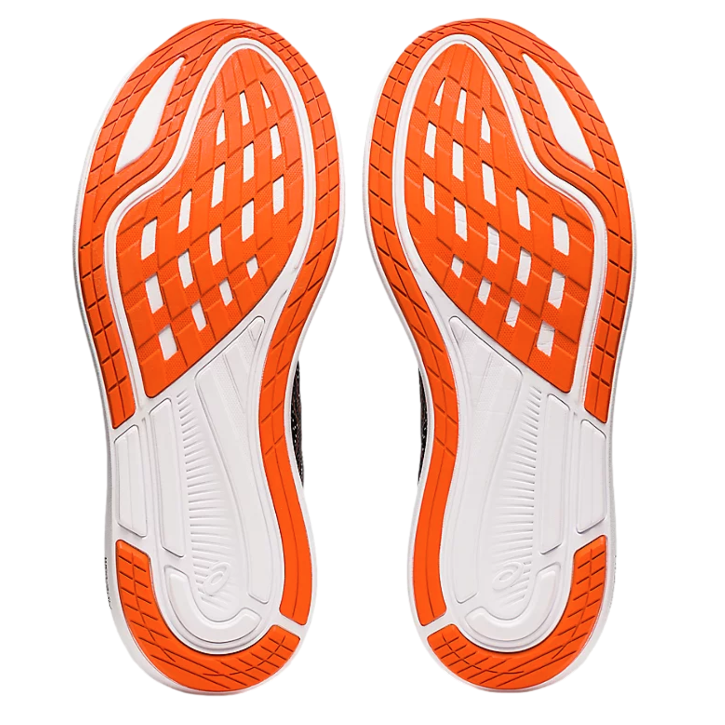 Asics EvoRide 2 Running Shoes--City Sports