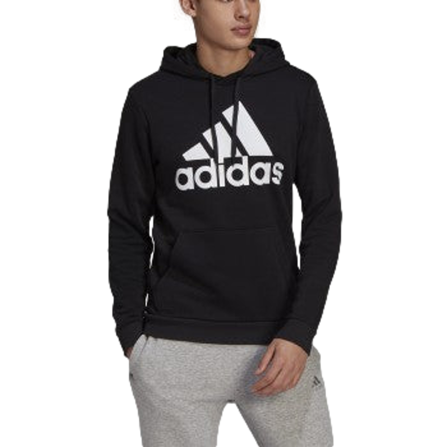 Adidas Essentials Big Logo Fleece Hoodie--City Sports