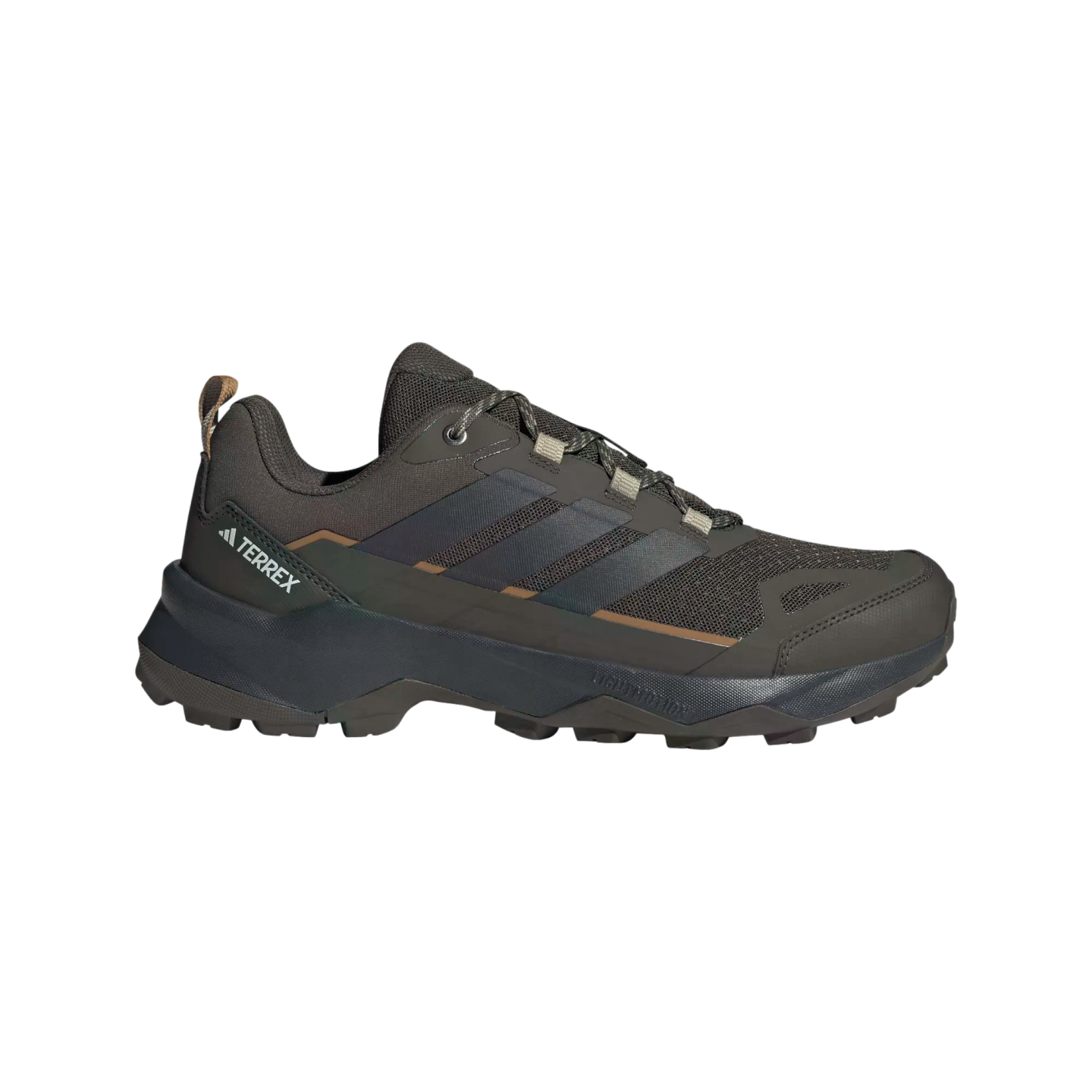 Adidas Terrex SkyChaser AX5 Hiking Shoes