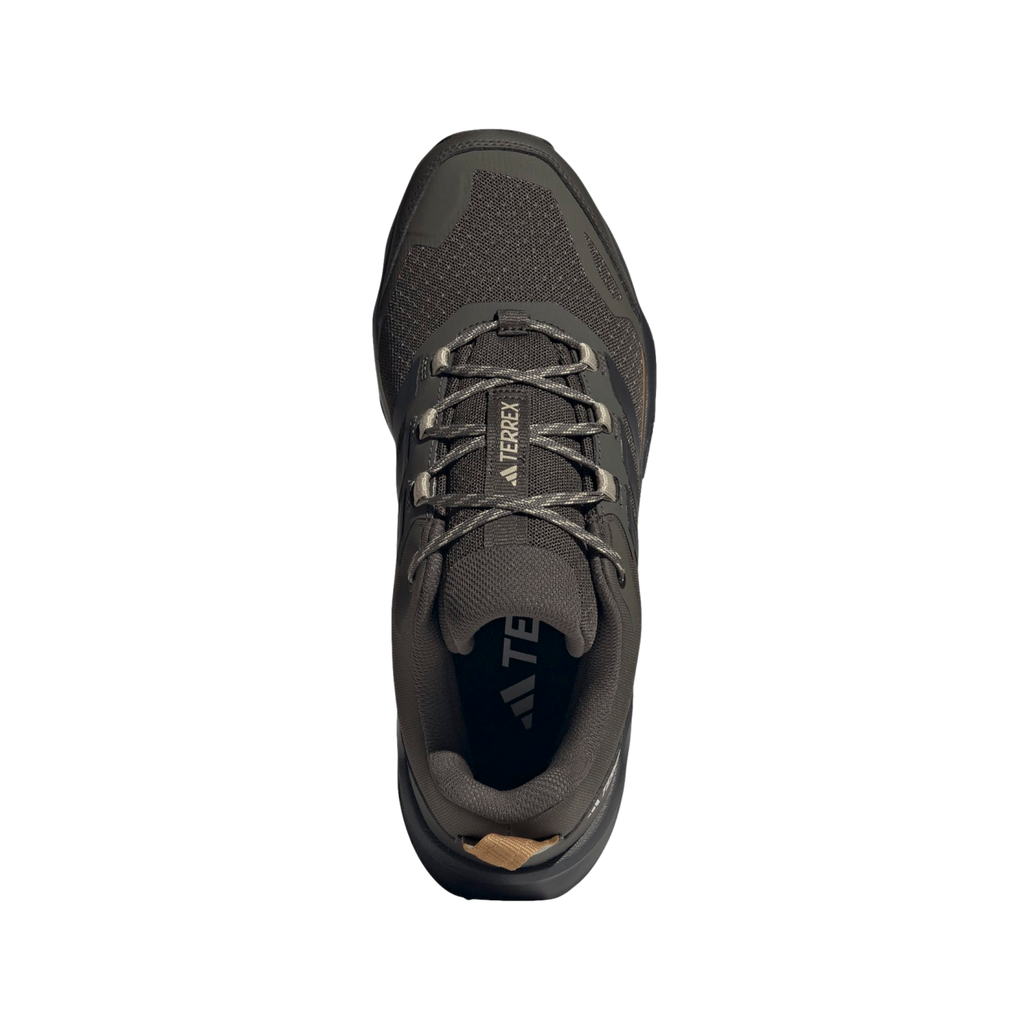 Adidas Terrex SkyChaser AX5 Hiking Shoes