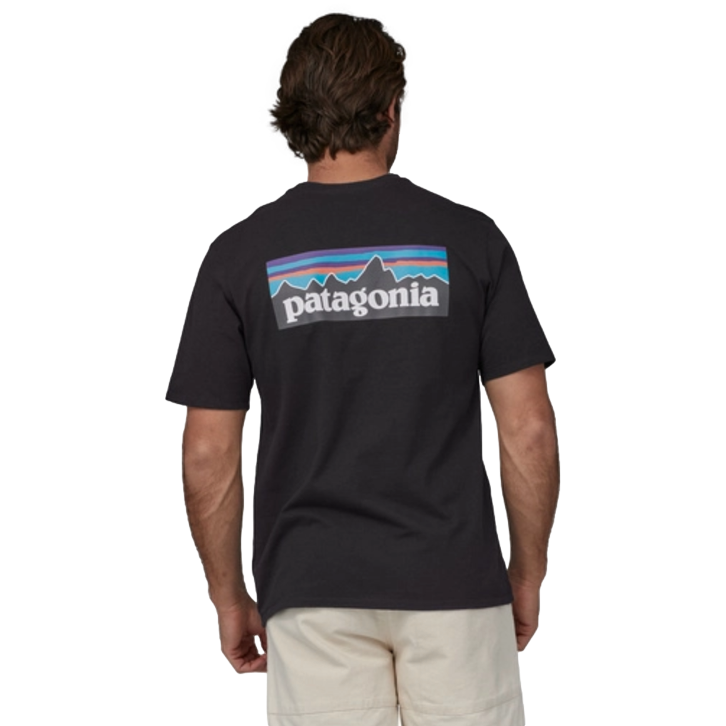 Patagonia Men's P-6 Logo Responsibili-Tee--City Sports