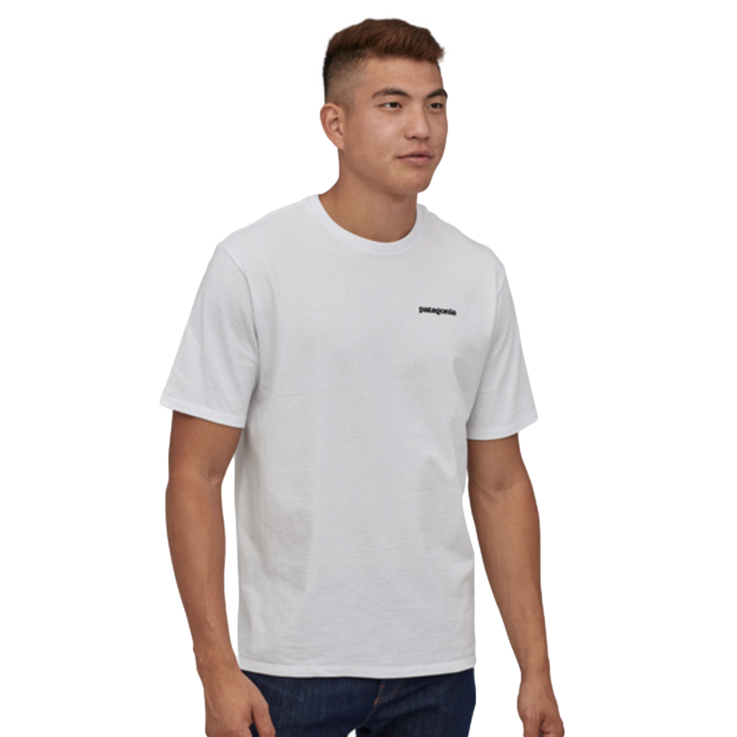 Patagonia Men's P-6 Logo Responsibili-Tee--City Sports